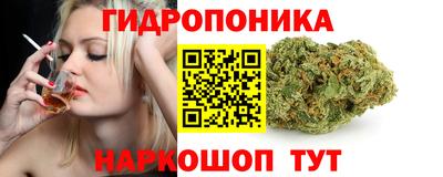 Альфа ПВП Краснокаменск
