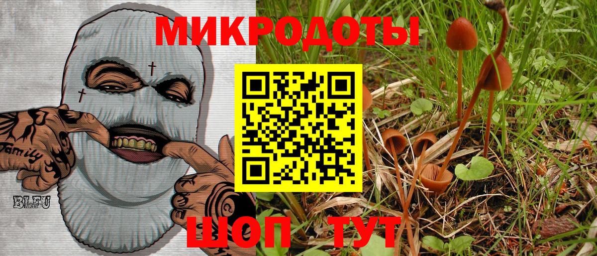 Галлюциногенные грибы мухоморы Волжский