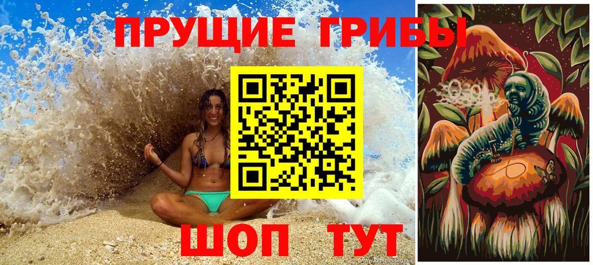 Псилоцибиновые грибы GOLDEN TEACHER  Вход с VPN  Галлюциногенные грибы Psilocybine cubensis  купить  цена  Волжский 
